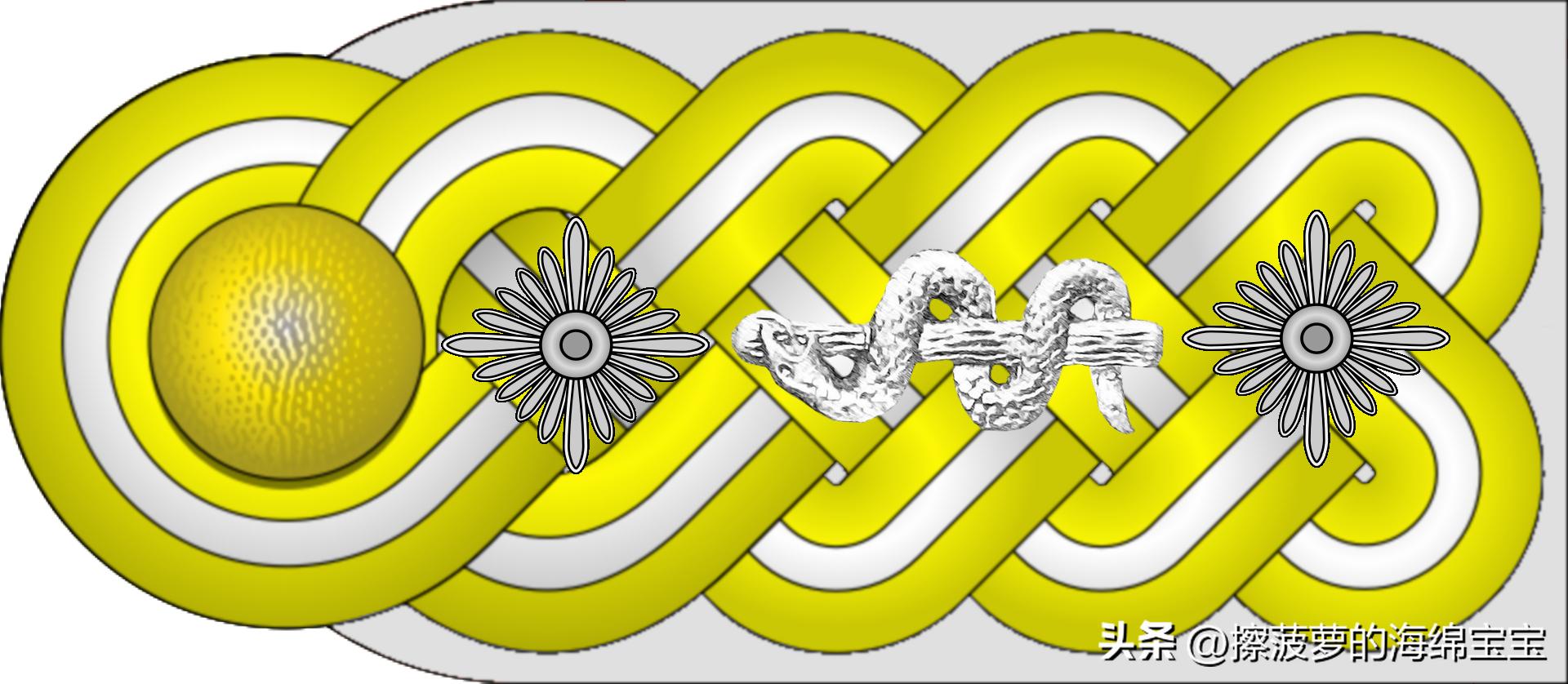 二战德国国防军医疗兵军衔标志