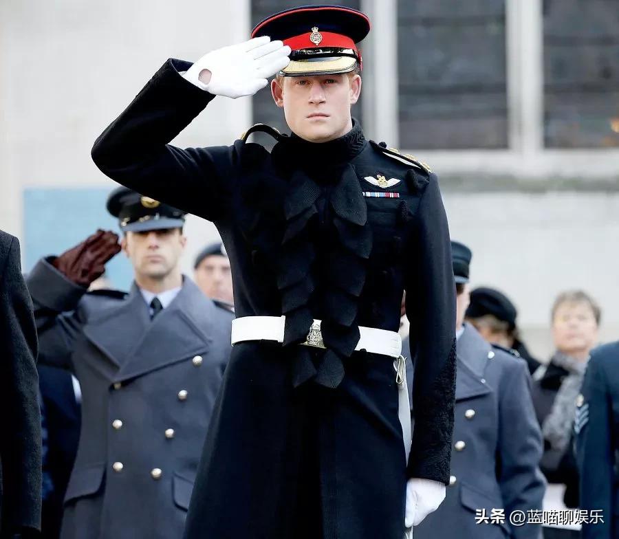 哈里王子和威廉王子回忆,哈里王子梅根感人视频