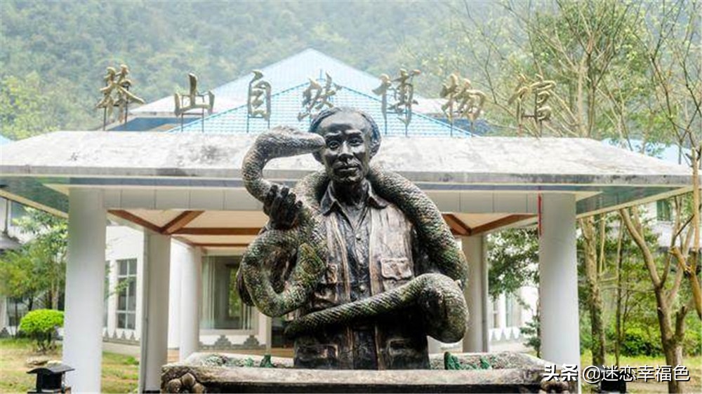 蛇博士完整版,蛇博士烙铁头