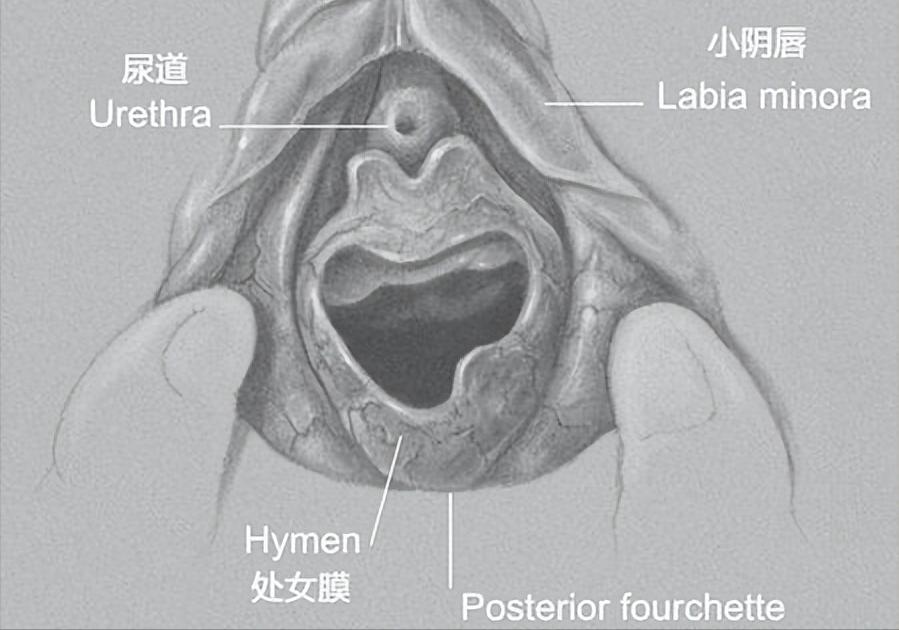 处女座的大揭秘,揭秘最真实的处女座
