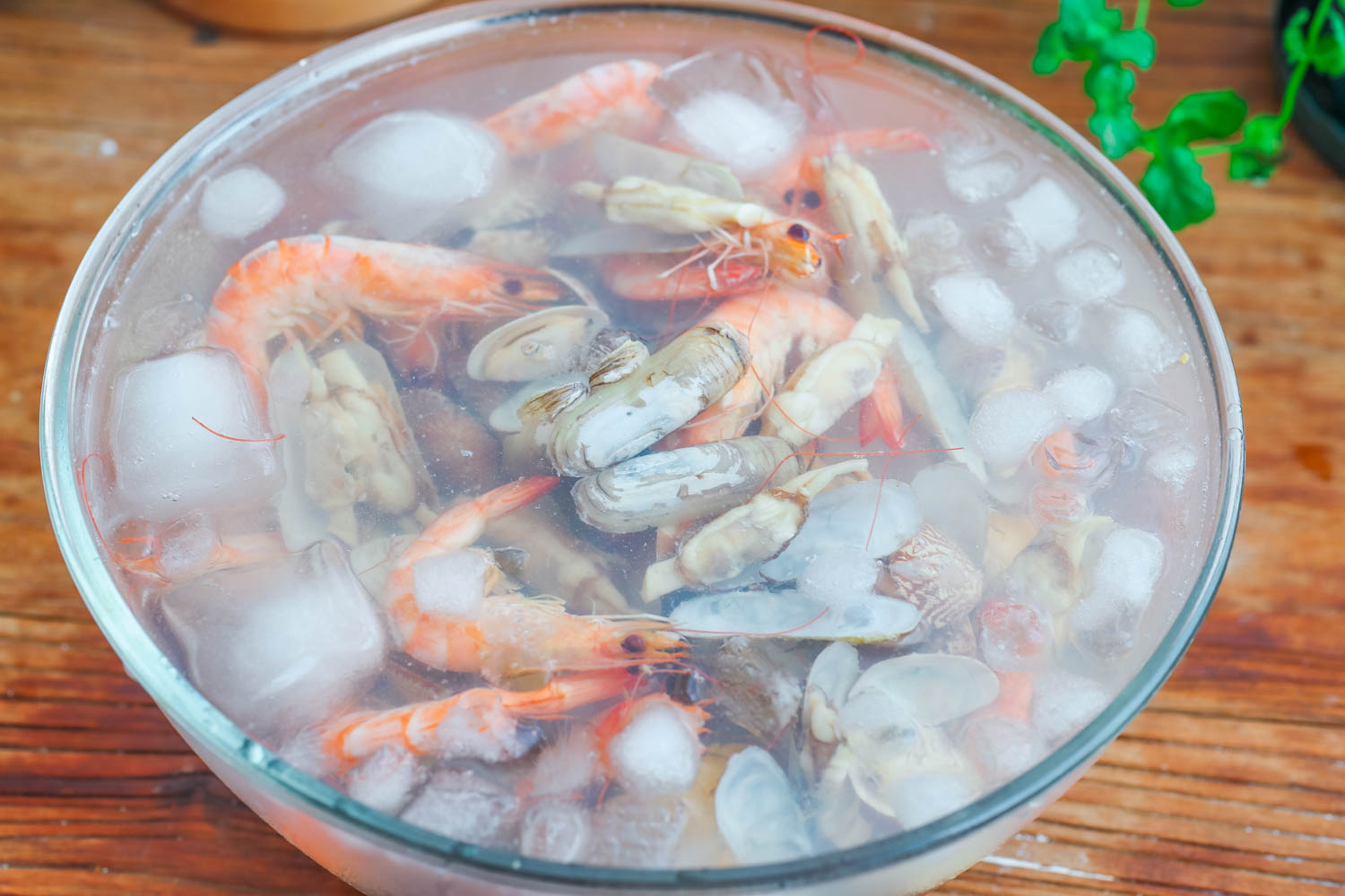 钵钵鸡的正宗做法全过程川味,海鲜钵钵鸡做法自制在家