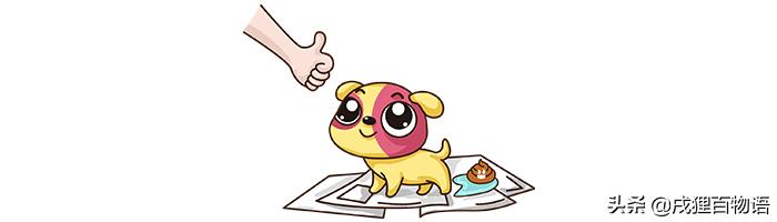 狗狗在沙发上乱尿怎么办啊,狗狗在沙发上拉尿怎么办