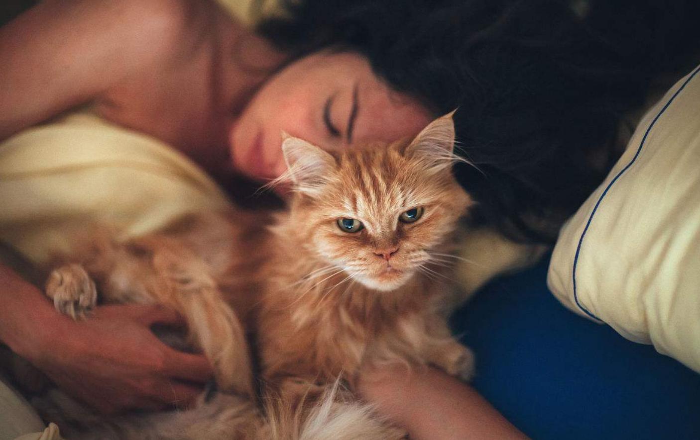 猫出现这个行为要注意什么,千万别忽略猫的这4种反常行为