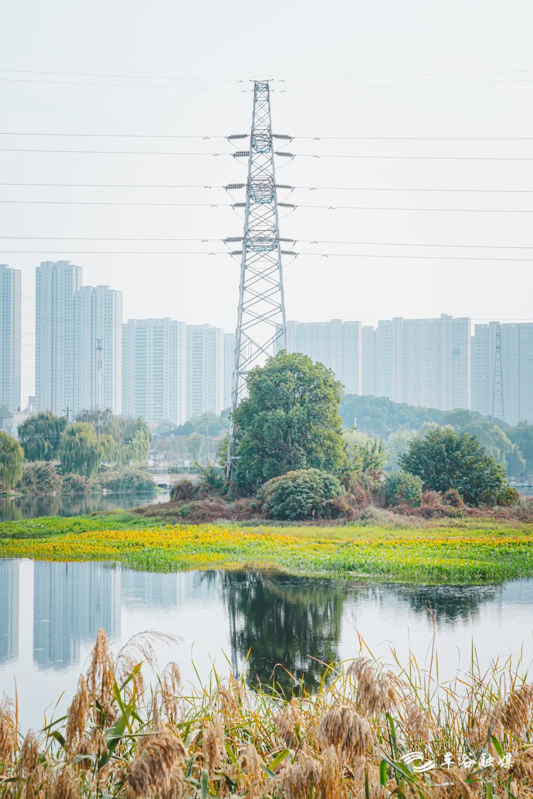 最美绿道骑行攻略,淘金山骑行绿道和东湖骑行绿道