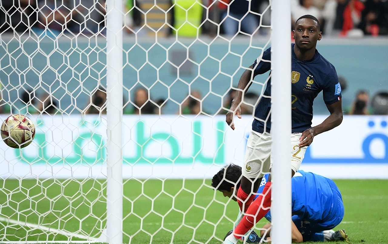 卫冕冠军高卢雄鸡,高卢雄鸡世界杯夺冠完整视频