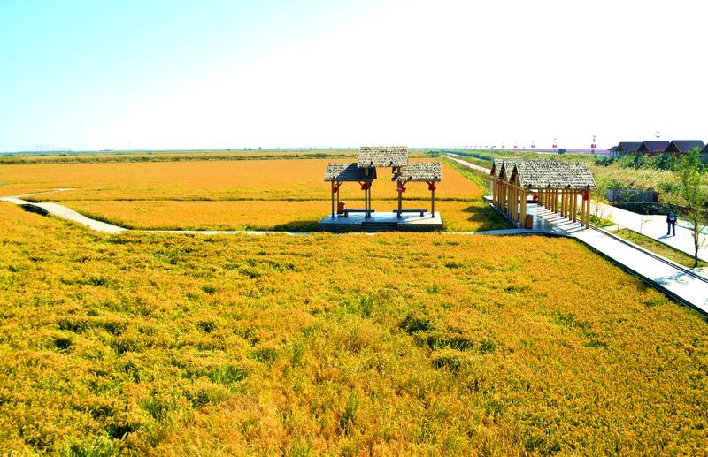 辽宁盘锦在哪个地方,去盘锦旅游哪里好