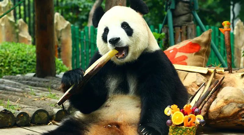 国庆来大连玩,国庆去哪里玩大连