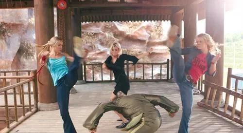 龙珠第一部武道会决赛,龙珠第一部最后一次武道大赛