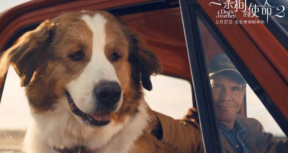 无条件的爱的意义,球王贝利这个故事告诉我们什么