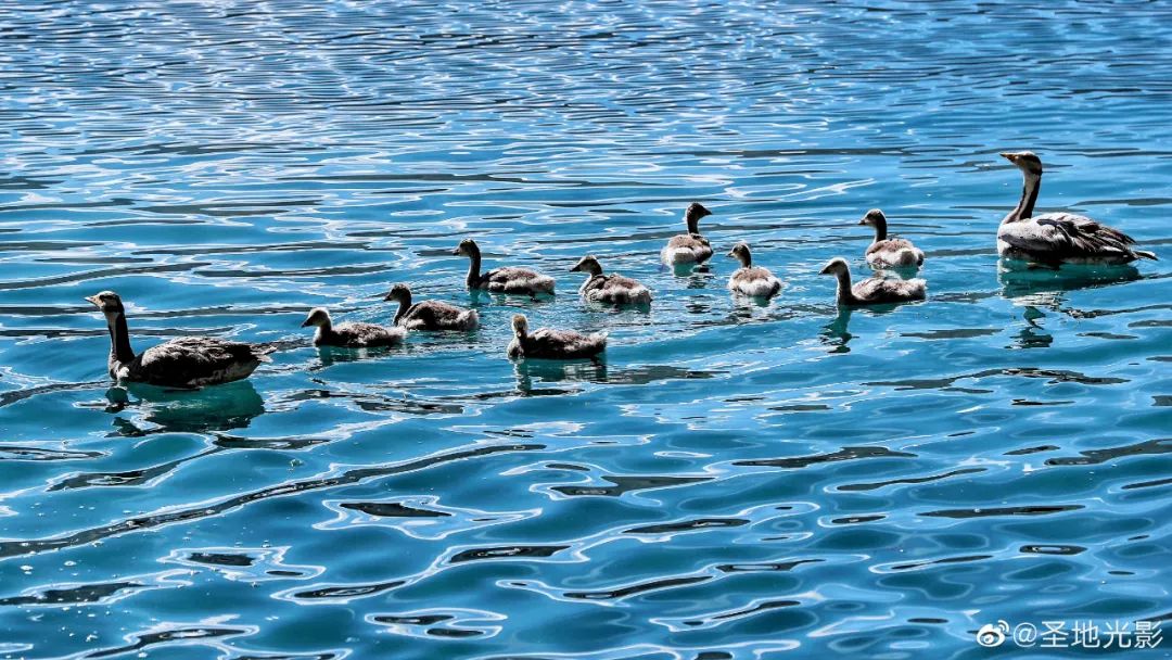 西藏小众旅行摄影,摄影必去的12个地方广州