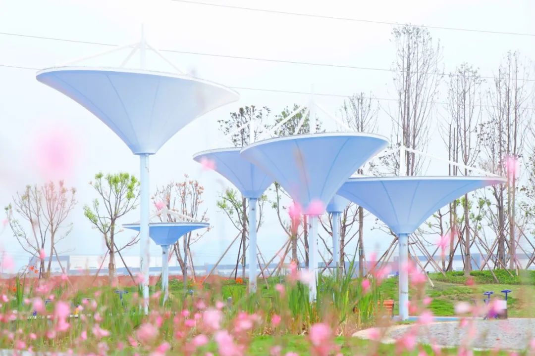 春暖花开运动好时节,春暖花开该开始运动了