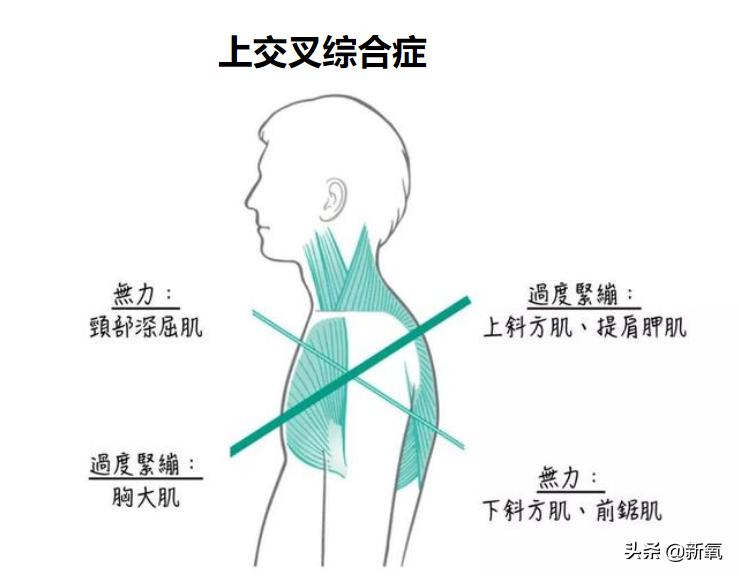 富豪千金妮可拉,富家千金妮可拉