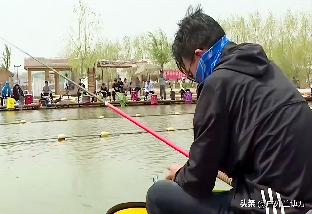 黑坑停业公告,停播整改中是什么原因