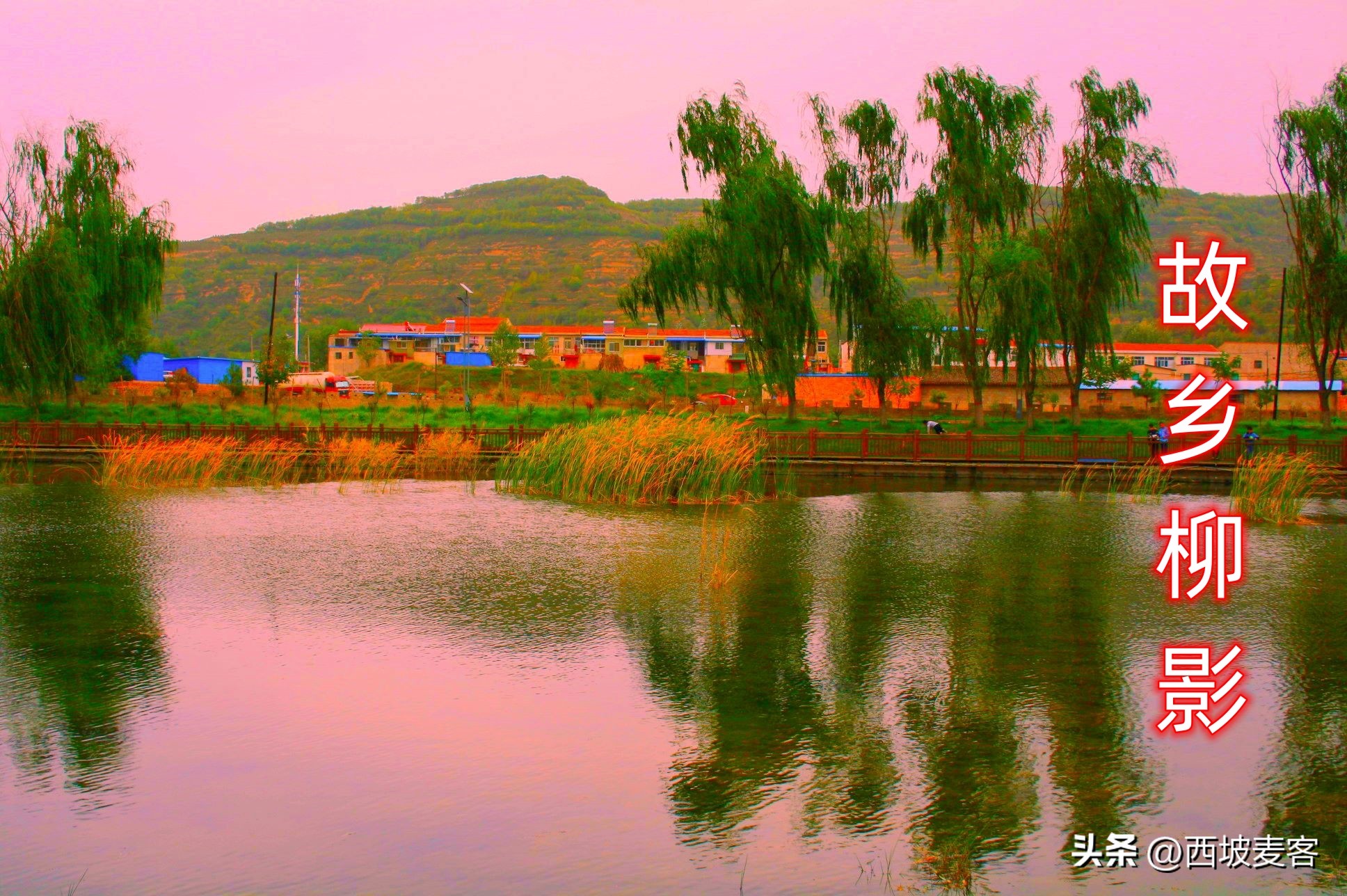 赚钱剧本,走路赚钱剧本