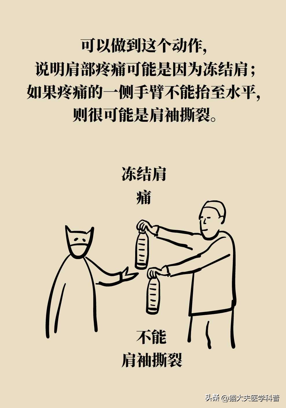 肩膀痛抬胳膊就痛是什么原因,肩膀疼痛做爬墙锻炼