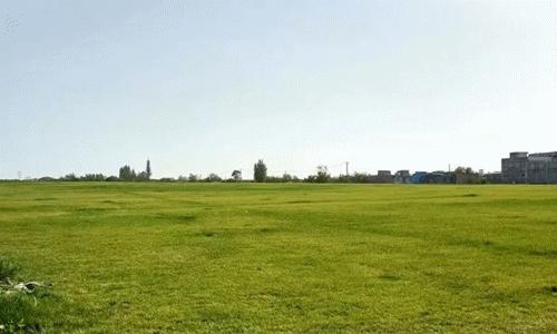 西安周末带娃去哪赏花放风筝,西安冬天周末户外遛娃好去处推荐