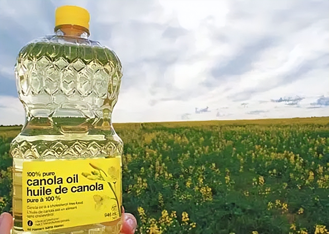 19年加拿大巨轮被堵厦门外海，损失十多亿美元，加总理尝到了苦果