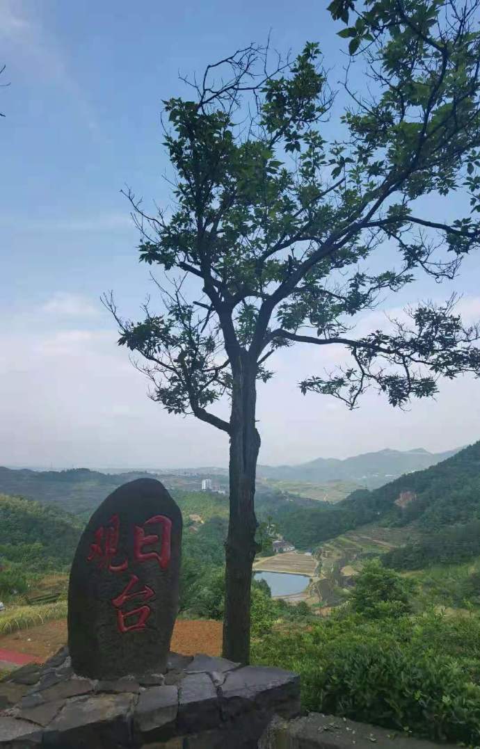 磐安乌石村免费景点,磐安乌石村夜景