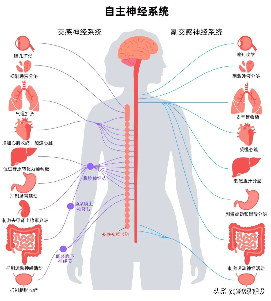 跟人说话就脸红,跟人说话就脸红是什么原因