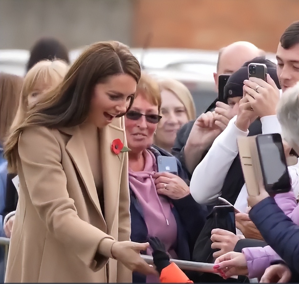 凯特王妃戴60美元耳环优雅依旧，秋日驼色穿搭全身都带货