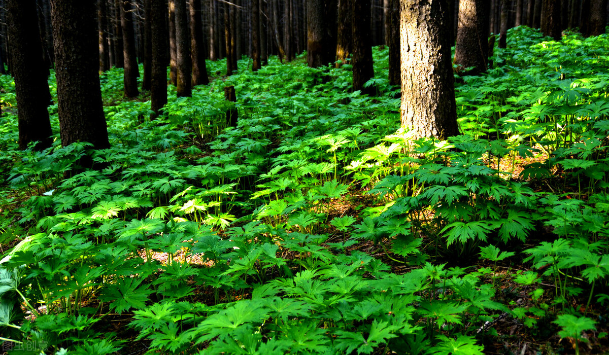 带餐厅地址的抖音短视频怎么赚钱,适合普通人的短视频赚钱方法