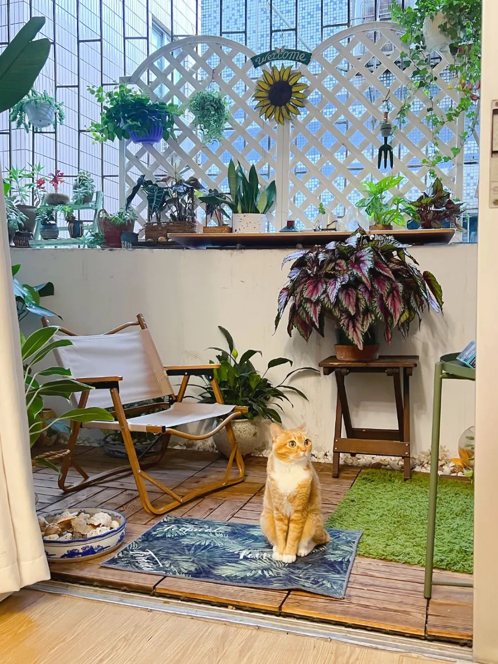 很多人羡慕的阳台,让别人羡慕的阳台