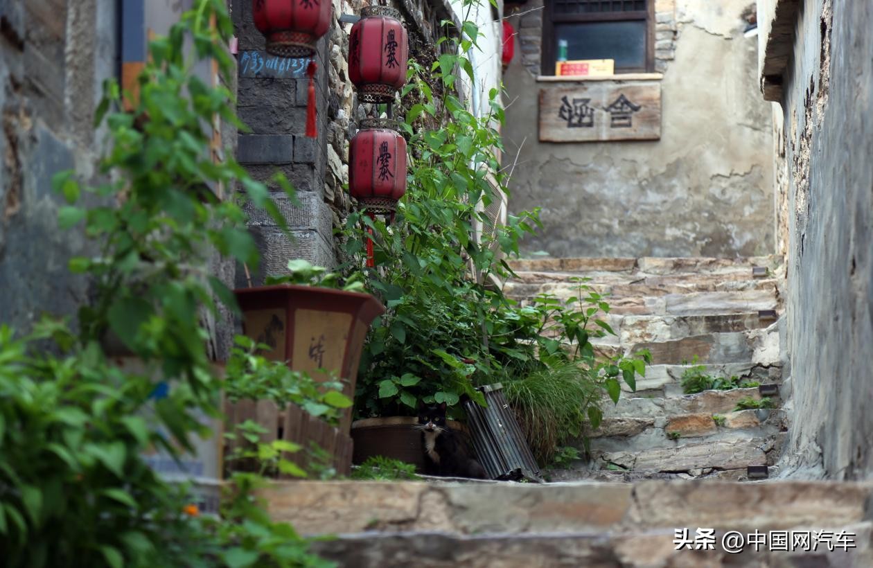 24款雷克萨斯rx专业试驾,沉浸式试车雷克萨斯rx