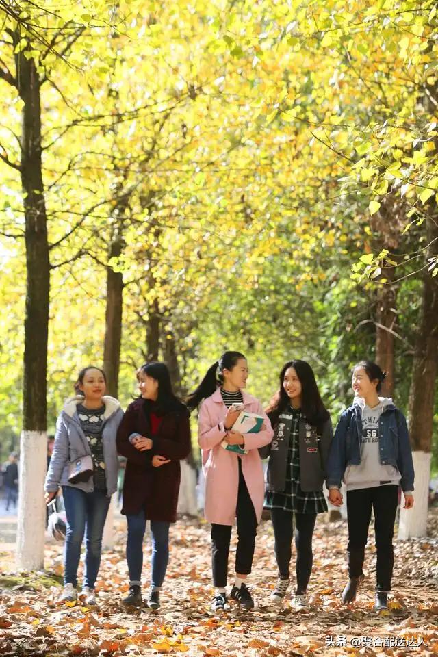 校园跑腿经济运营模式,入驻课堂推广赚钱