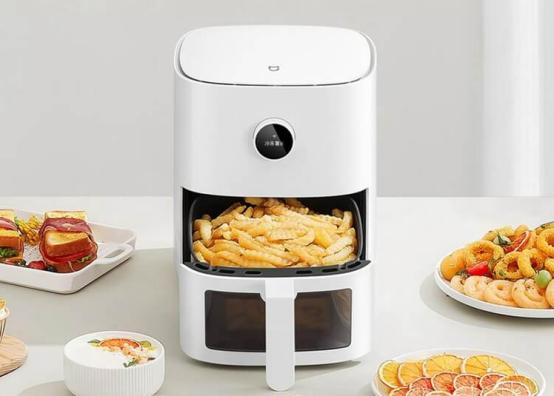 空气炸锅哪十个品牌的质量比较好,空气炸锅什么品牌最专业