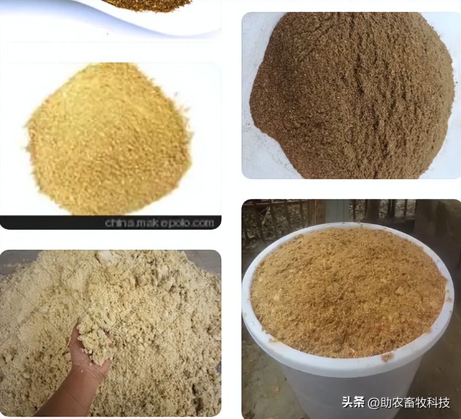 养猪吃饲料和发酵饲料哪种更好,怎样制作养猪发酵饲料