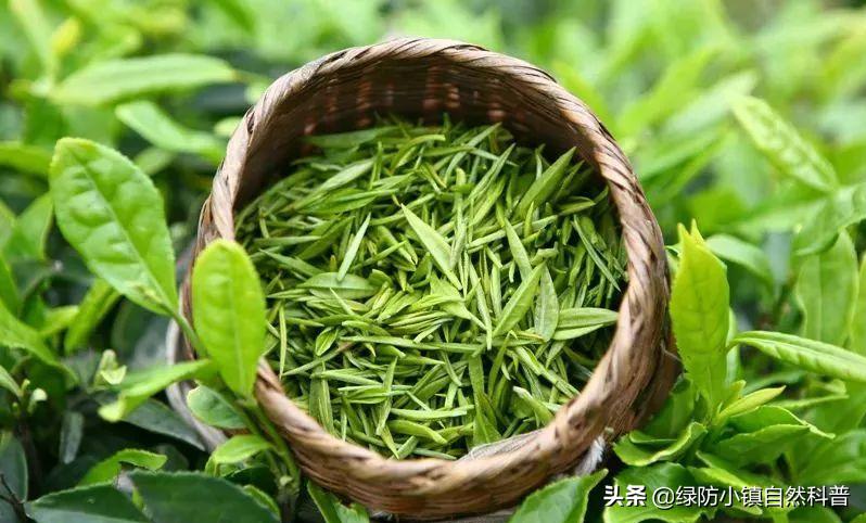 二十四节气之谷雨歌曲,二十四节气之谷雨儿歌歌词