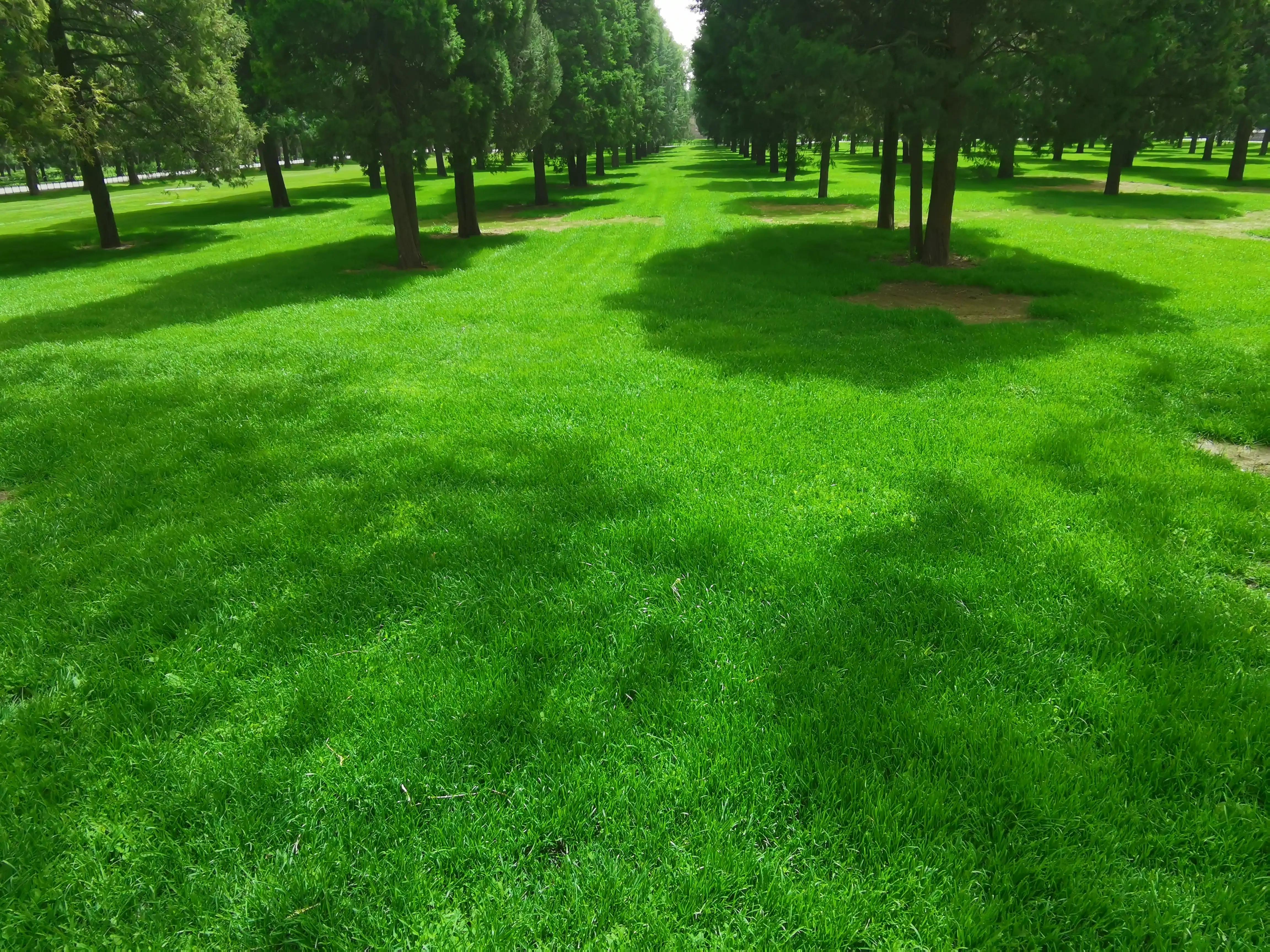 逛天坛需要多长时间,天坛游玩攻略及美食