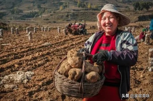 全国哪些地方的土豆最好吃,全国哪的土豆最好