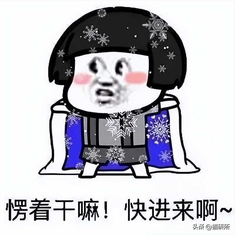 冬天猫咪一直睡觉无精打采,冬天猫咪睡觉会感觉冷吗