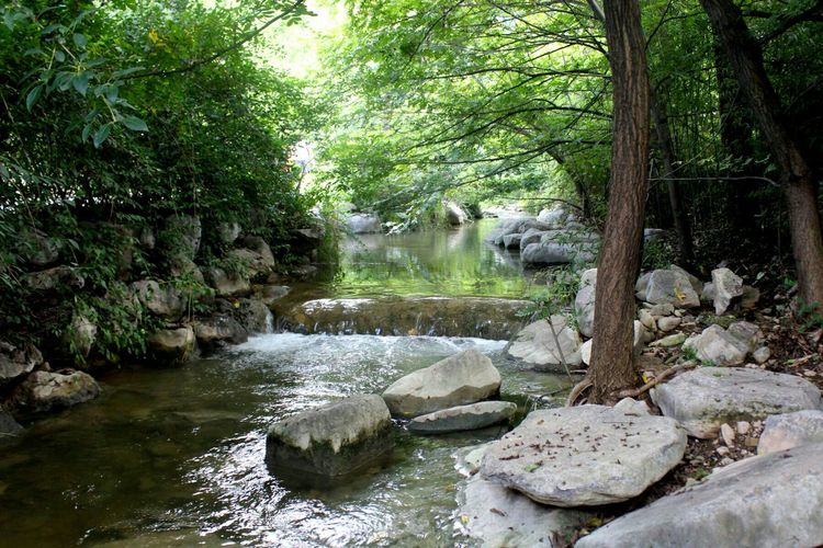 山东青州黄花溪景区图片,山东九寨沟黄花溪