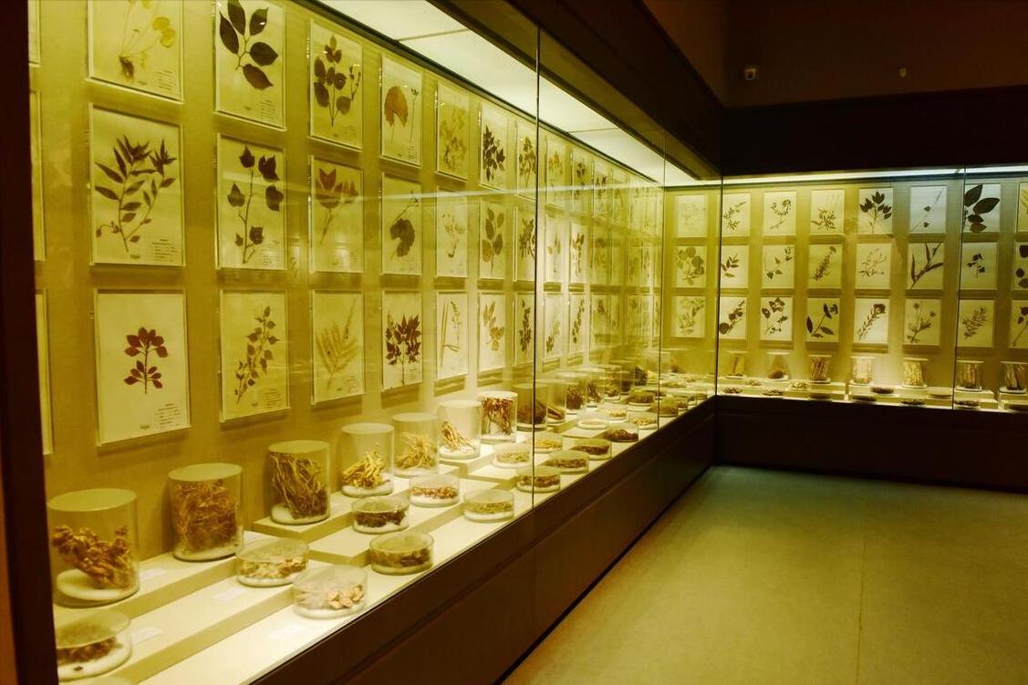 寒热错杂证中医治法怎么说,寒热错杂中医分析