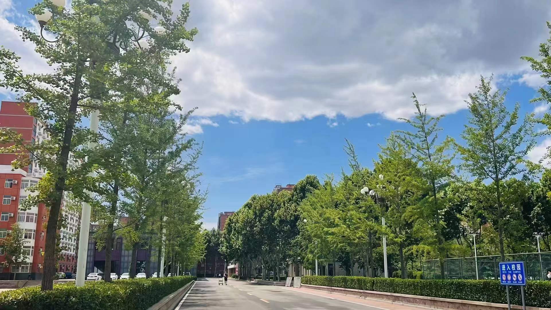 北大青鸟是什么学校怎么报名,北大青鸟技校是正规学校吗