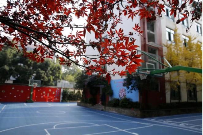 锦江区今年将新建扩建什么小学,成都锦江最近几年新建的小学