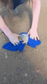 住酒店时显示已经在其他酒店入住,住酒店发现是自己几年前婚房