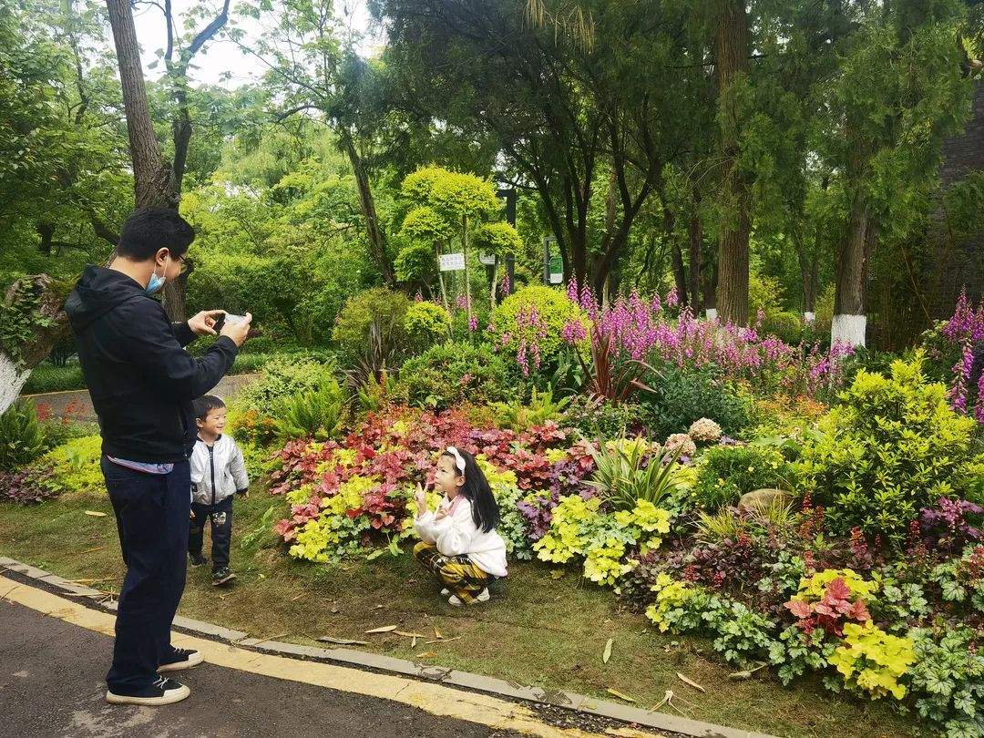 必去的花溪公园,假期余额不足游玩依旧火热