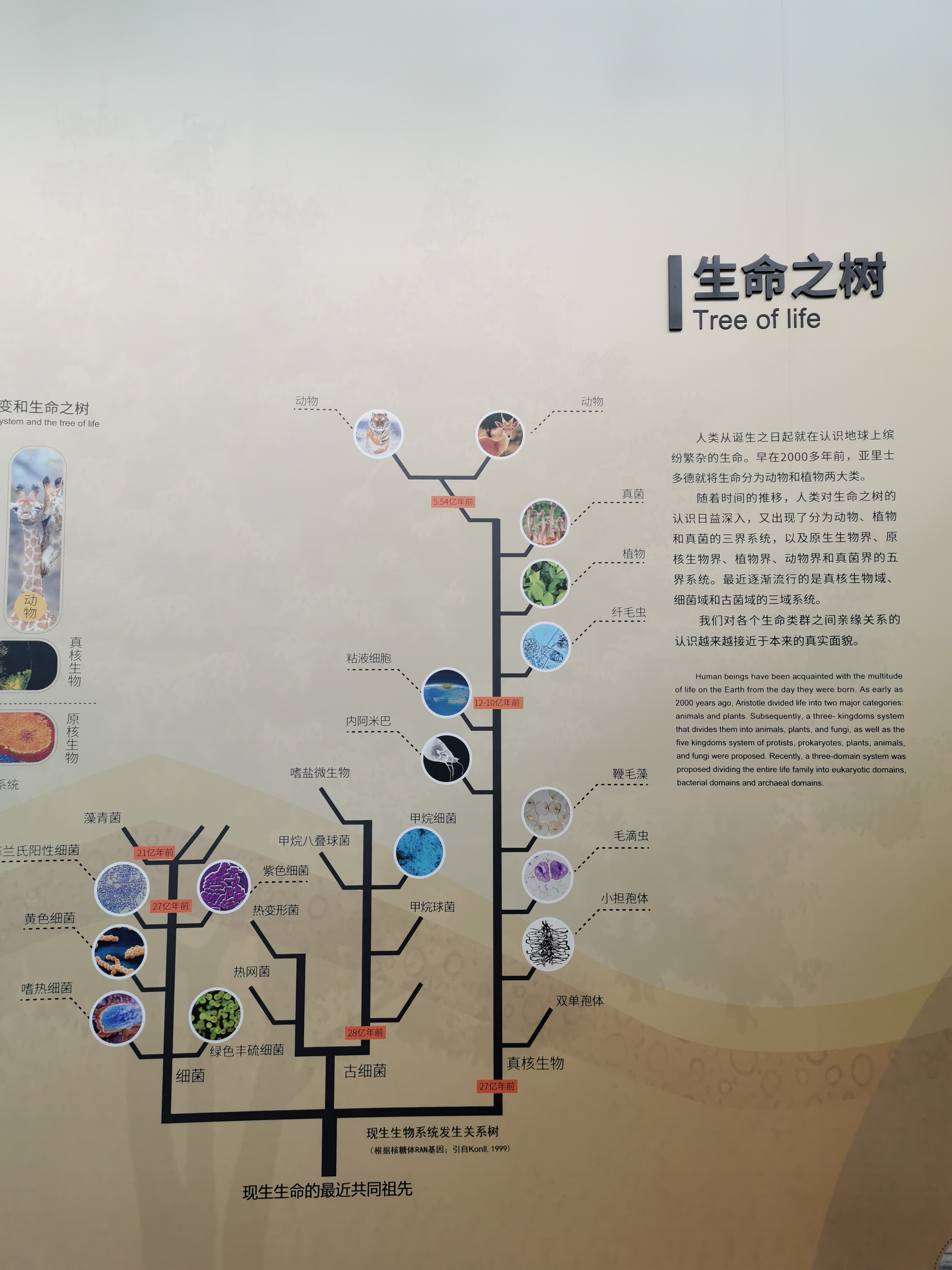 南京古生物博物馆观后感,古生物博物馆南京参观路线