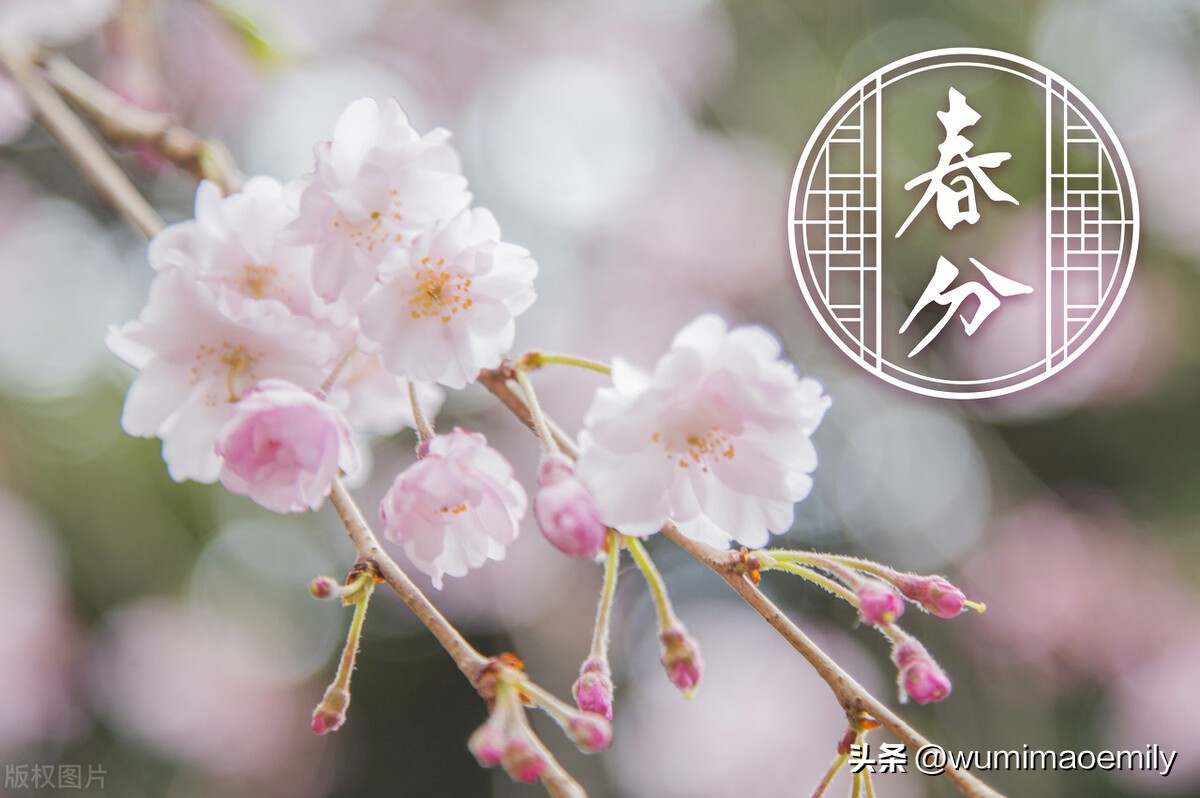 春分昼夜平分万物生,春分到夏至和冬至到春分的规律