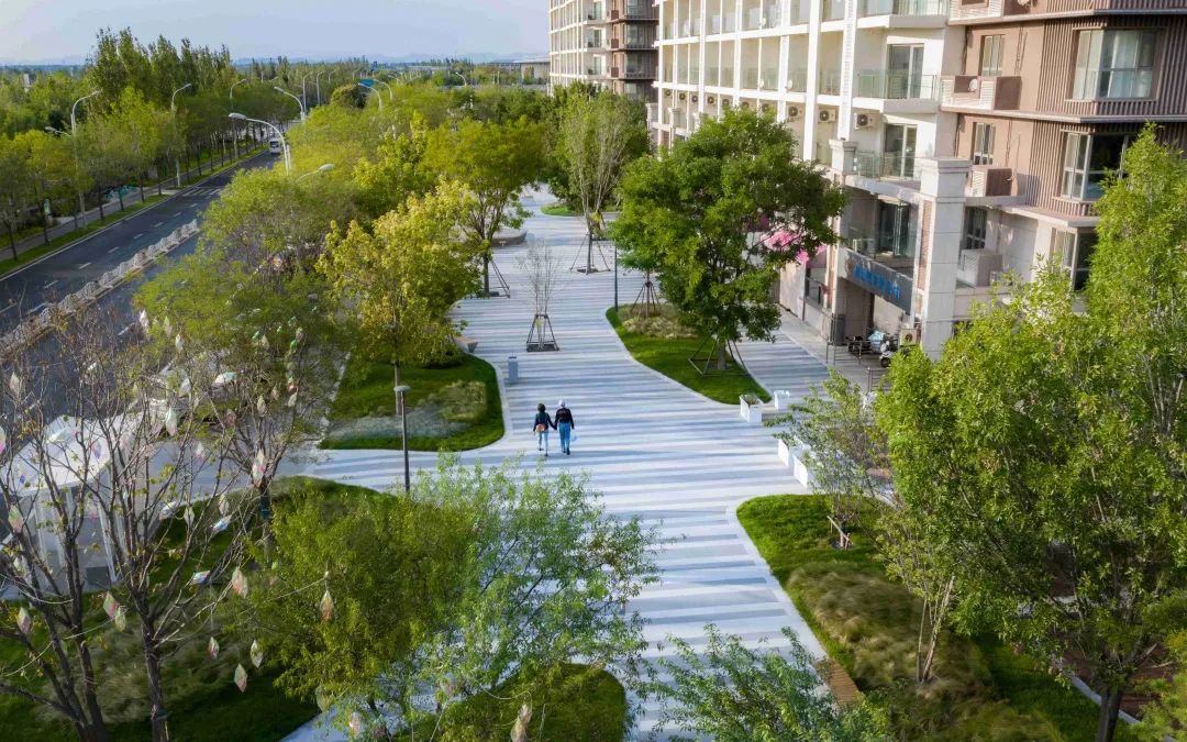 城市景观提升改造规划,最大城市改造项目