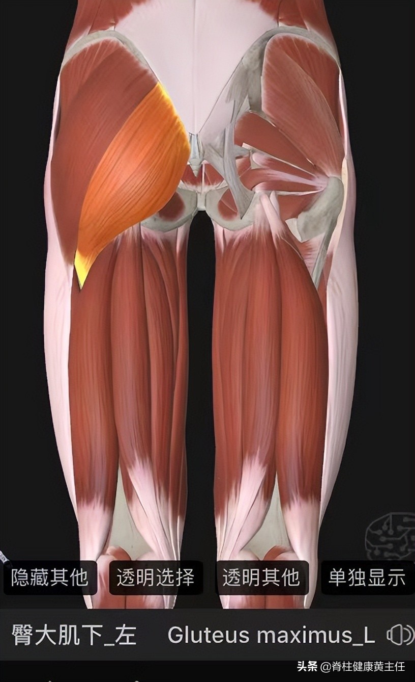 臀部腿部麻木疼痛是什么原因,臀部疼痛引起腿麻木怎么办