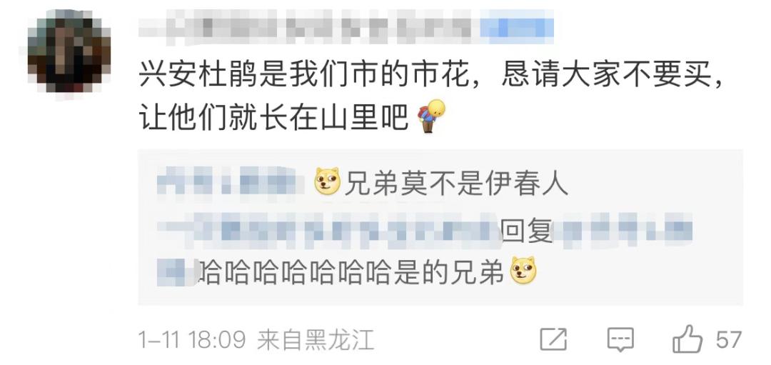 再次购买提示不能购买了,下次不要买这么多东西怎么回复