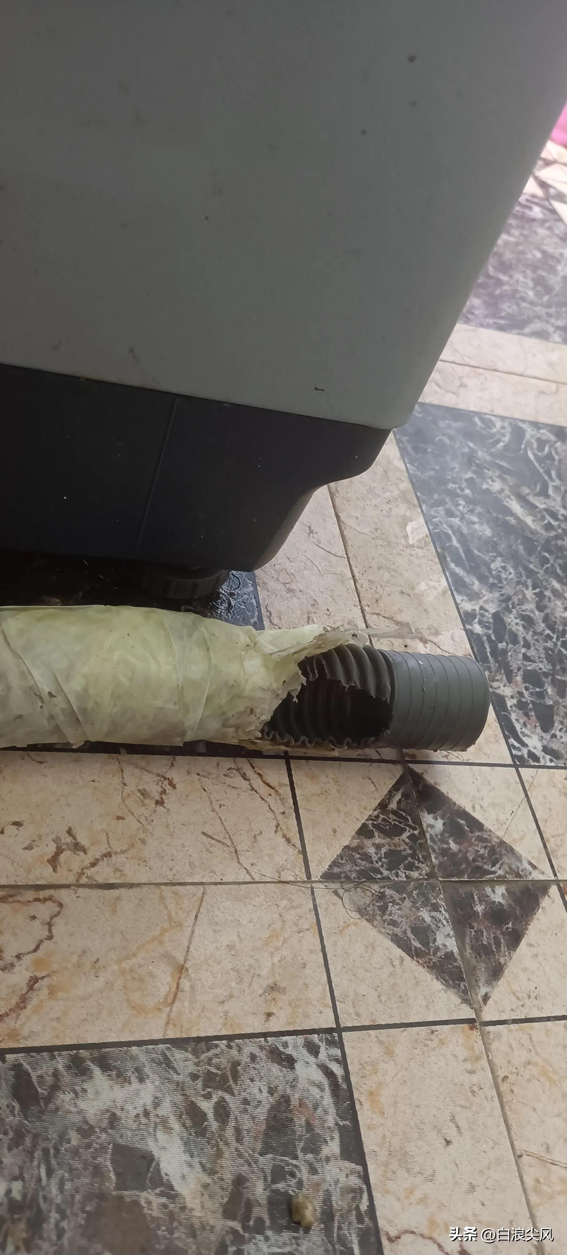 租客被老鼠咬伤房东如何处理,租房期间电路被老鼠咬坏谁负责