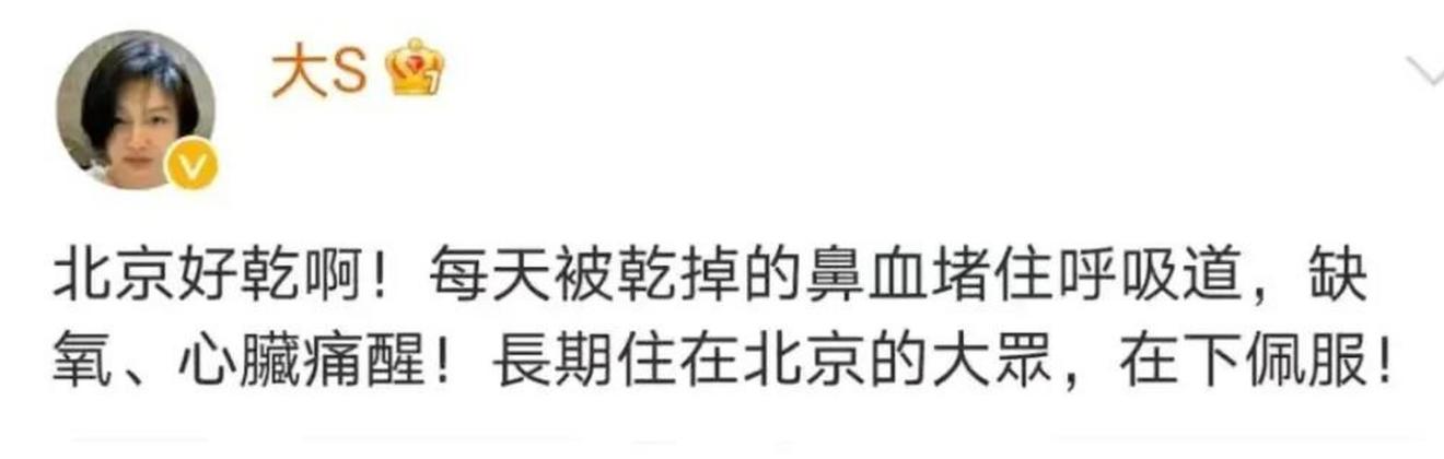 大s闪婚的经历,大s闪婚的真实故事