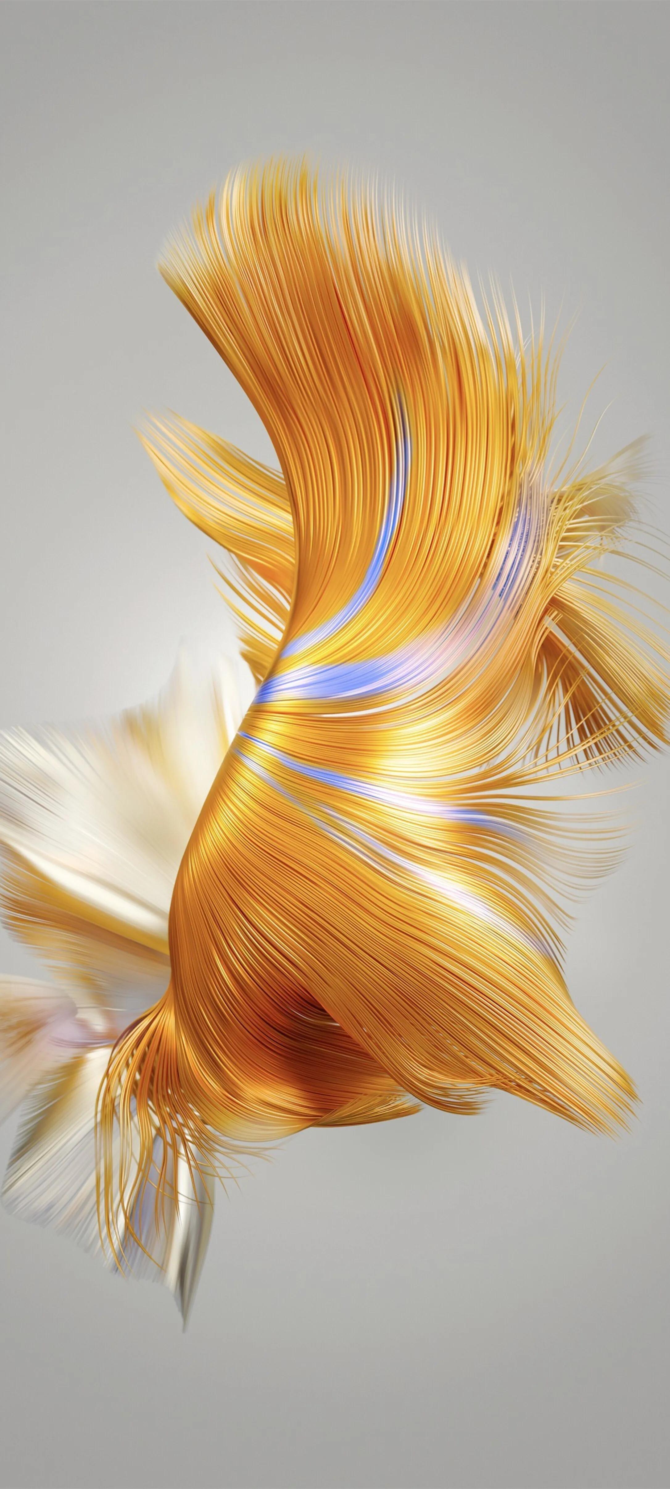 华为最新款最高清全屏手机壁纸,华为mate20壁纸超清全屏