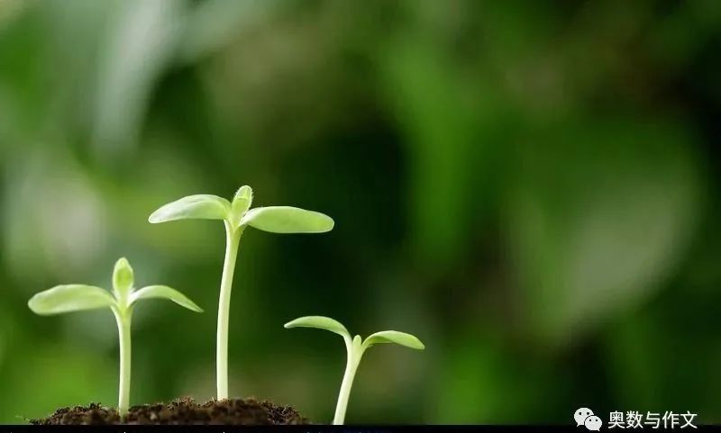 奥数技巧你学会了吗,教你学好奥数的几种方法