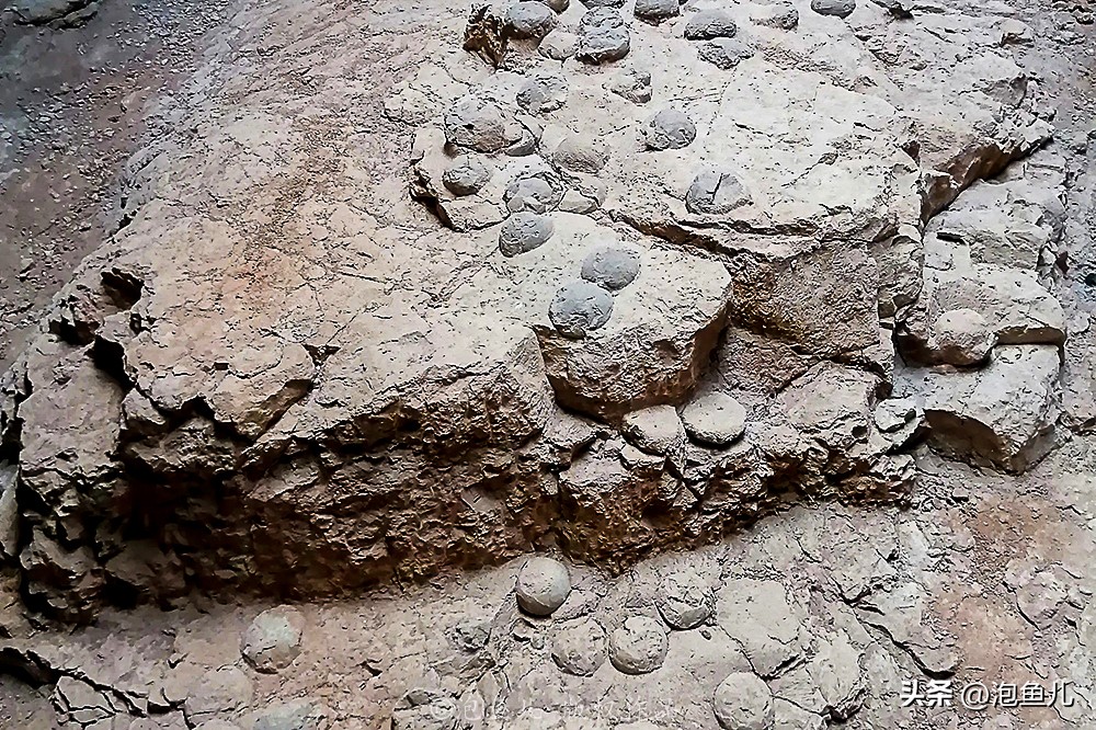 湖北大山发现30万枚恐龙蛋！村民竟拿去垒猪圈，这也太魔幻了吧